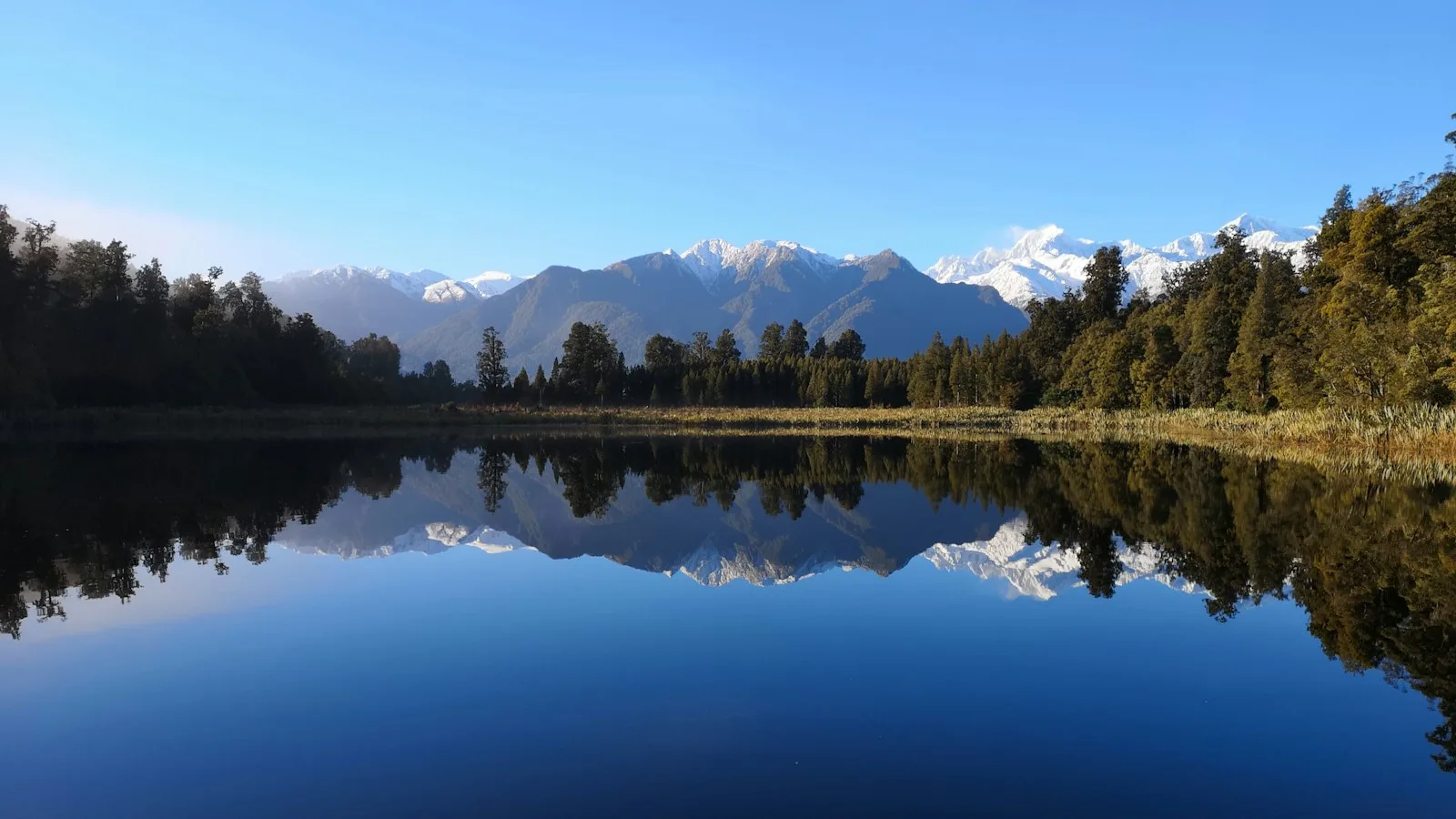 Fox Glacier : plus petit, plus calme