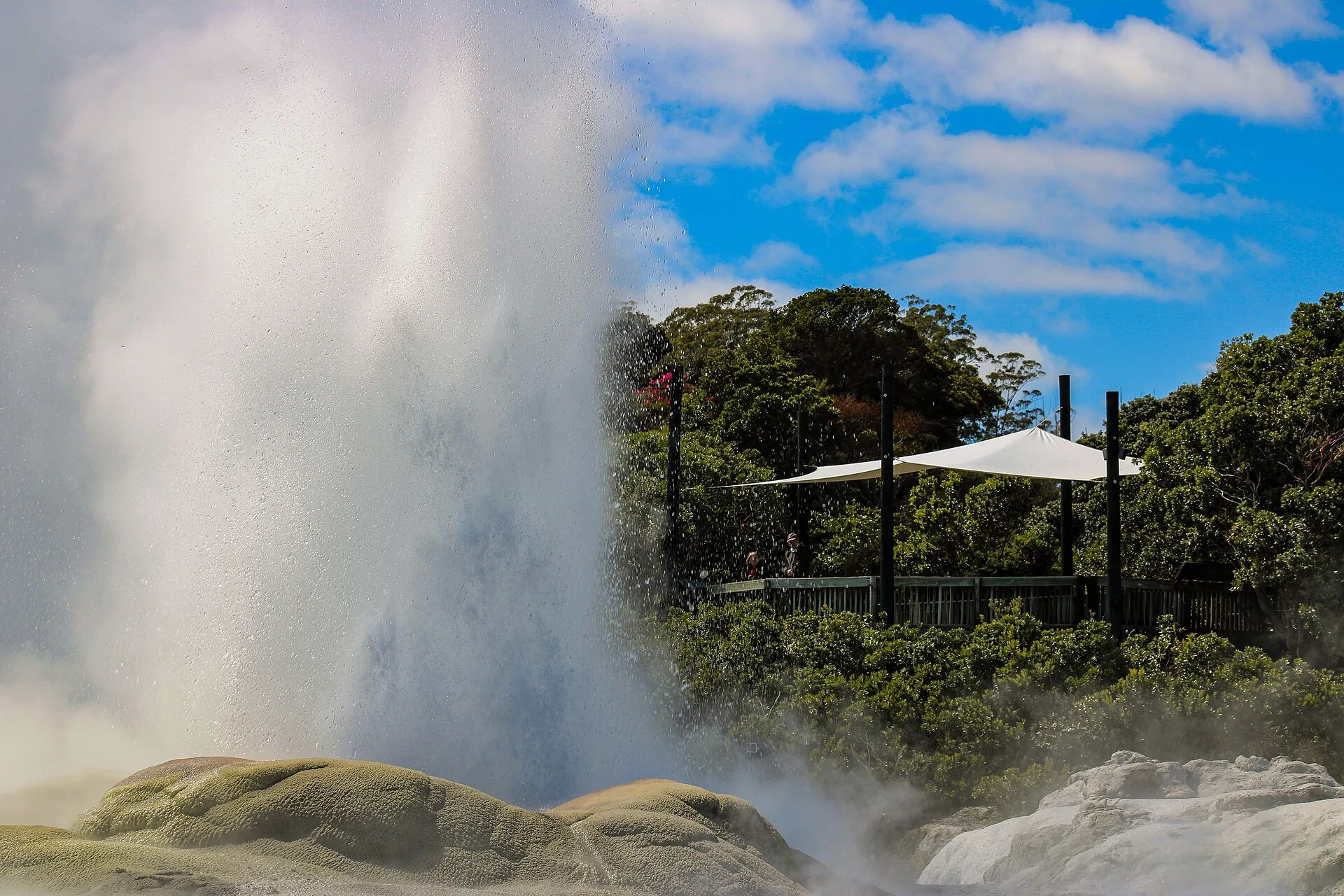 Geyser en éruption à Rotorua, Nouvelle-Zélande